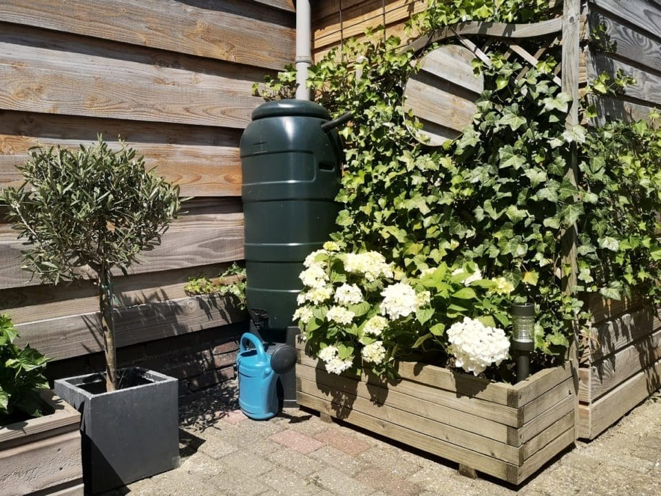 A green rain barrel with a blue watering can in a garden