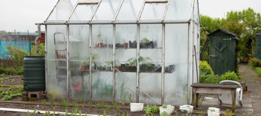 Greenhouse in spring