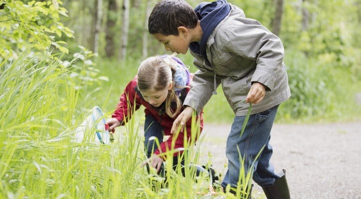 Children hunt for insects