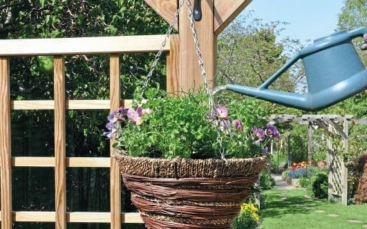 The hanging basket of herbs hangs from a trellis and water is poured in from a watering can.