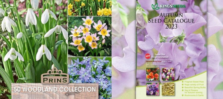 Kings Seeds new Autumn catalogue and images of flowers and plants