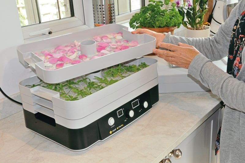 Hands stacking trays full of herbs and flowers for drying over a dehydrator