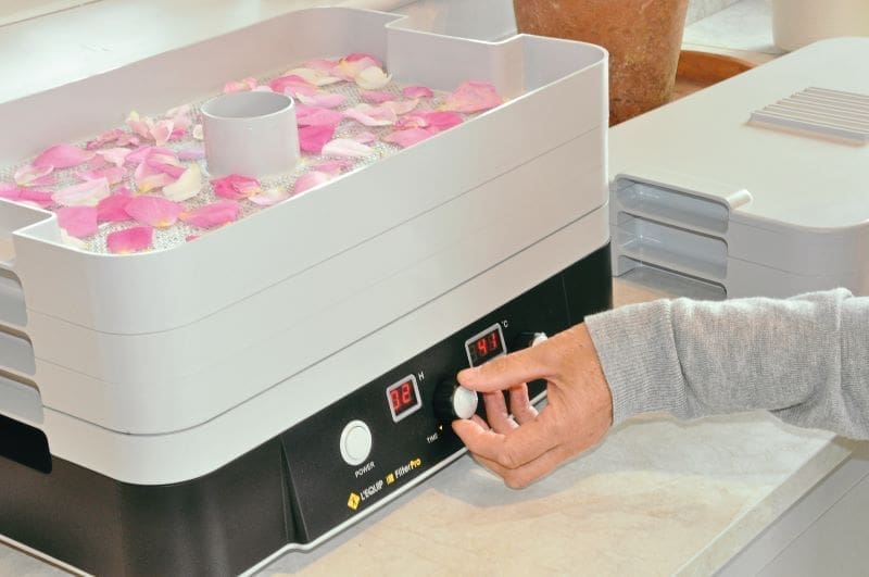 A hand moving the dial of a dehydrator to dry a tray of flower petals