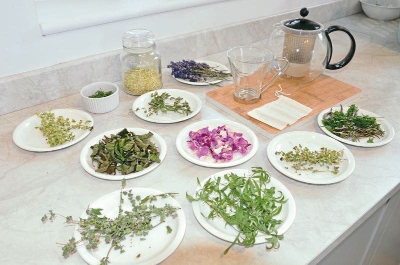 Dried herbs and flowers laid out on a counter next to a kettle and mug