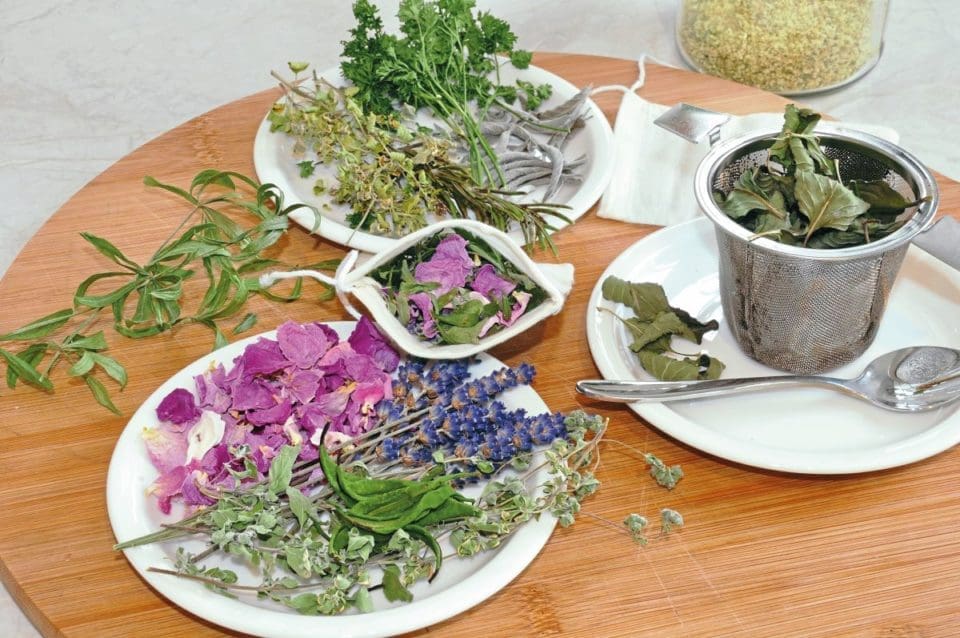 dried herbs and flowers laid out on a table