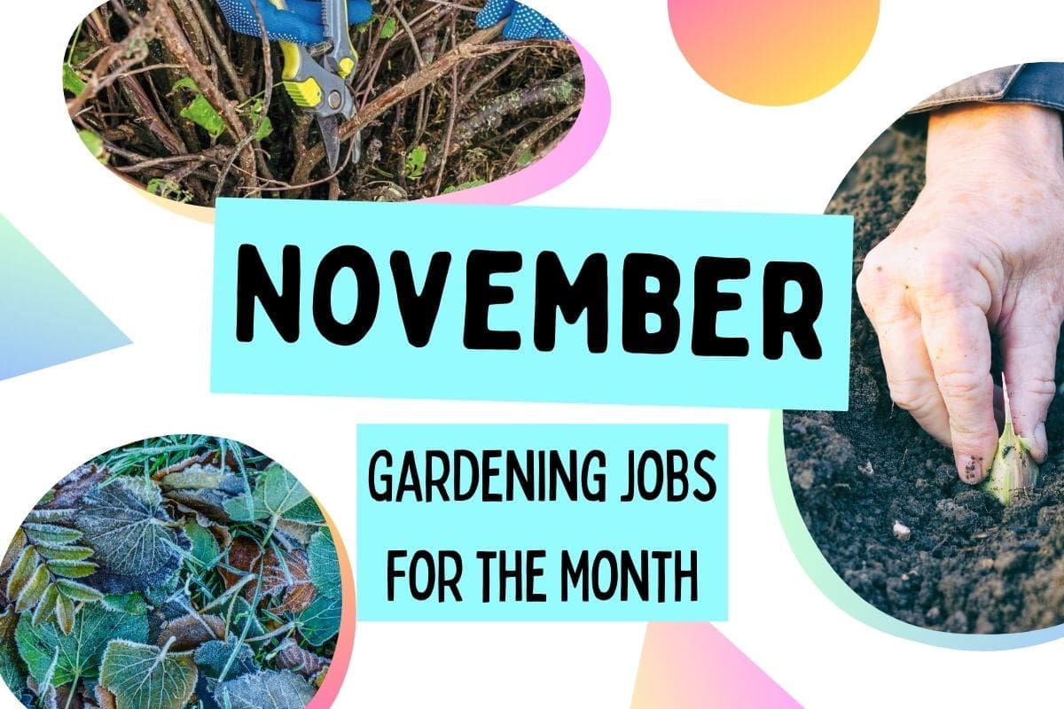 Jobs for November