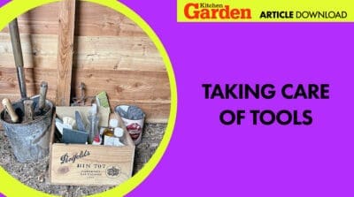 Article download: Taking care of tools