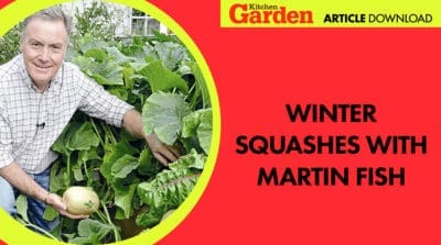 Article download: Winter squashes uncovered