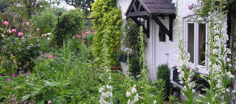 Meet the folks of The Cottage Garden Society at RHS Malvern Spring Festival