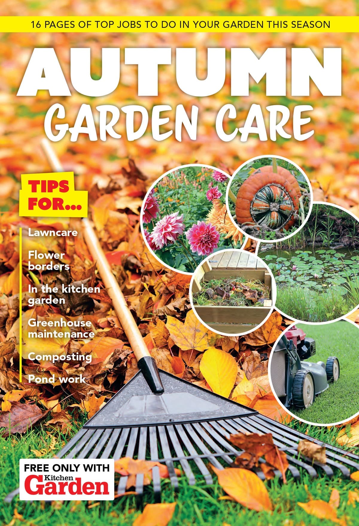 Autumn Garden Care