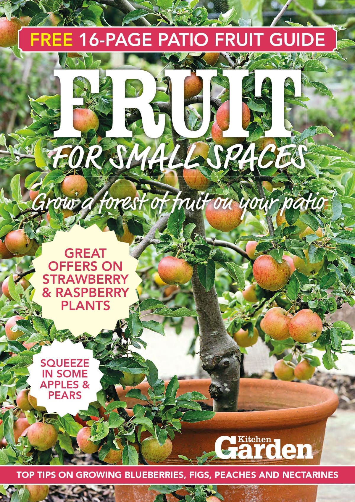 Fruit for Small Spaces