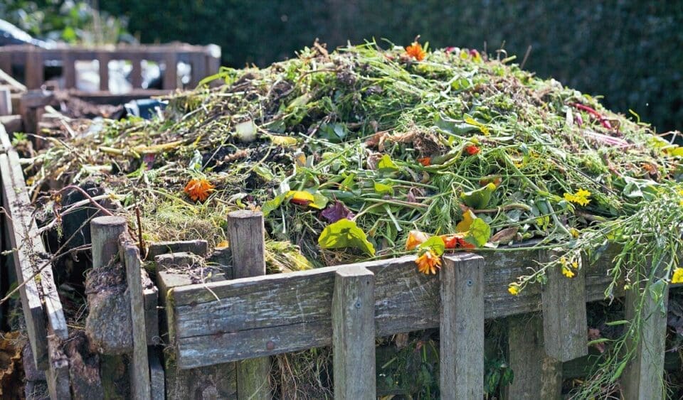 A pile of compost