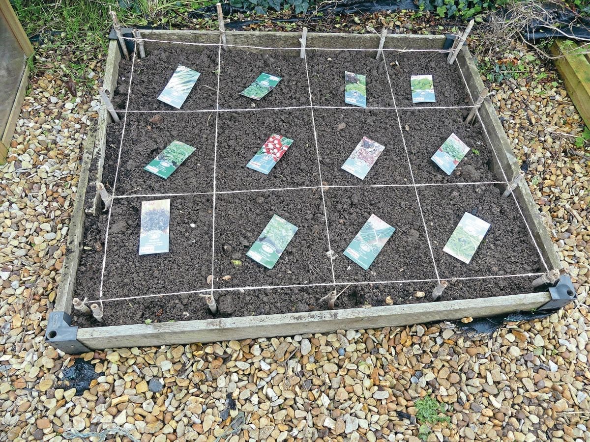 Square Foot Gardening: the easy method to turn one bed into loads of crops!