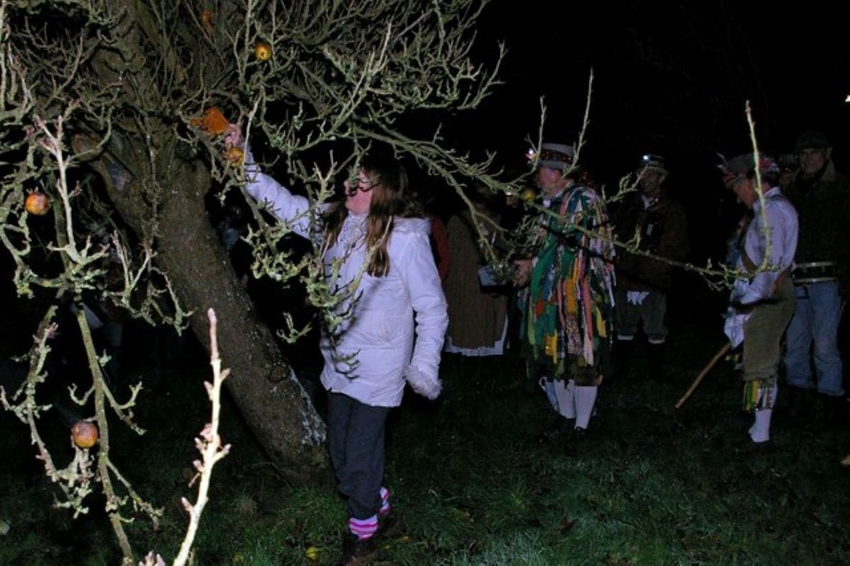 The surprising folklore of our fruit and vegetables