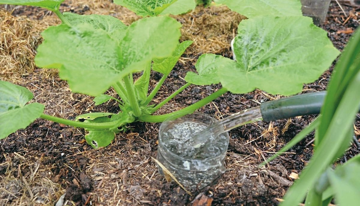 Top tips for time-saving gardening