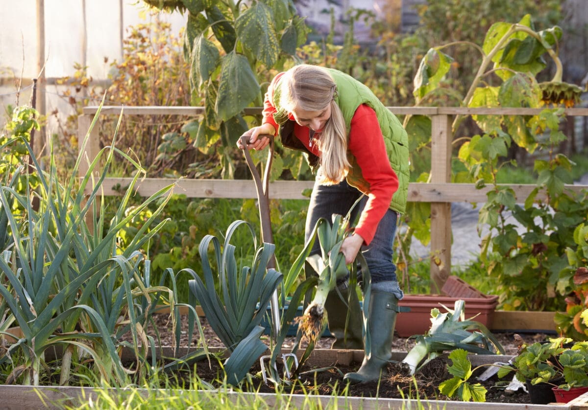 Get Growing This Bank Holiday