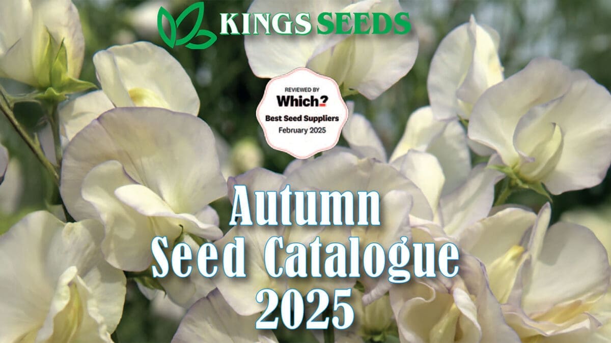 Kings Seeds Autumn 2025 Catalogue