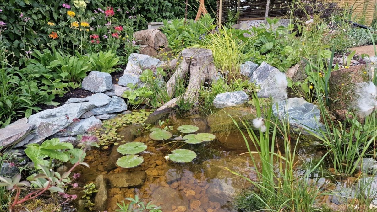 Silver Merit Award for Garden Organic’s show garden