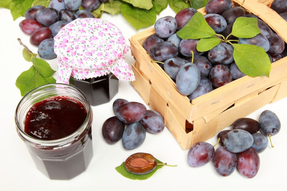 Too many damsons? How to freeze, preserve, or bake with them