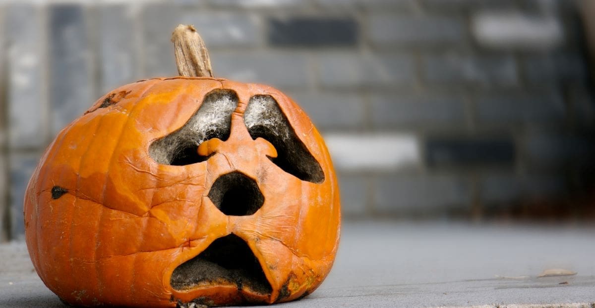 5 things to do with pumpkins after Halloween (and 1 you definitely shouldn’t)