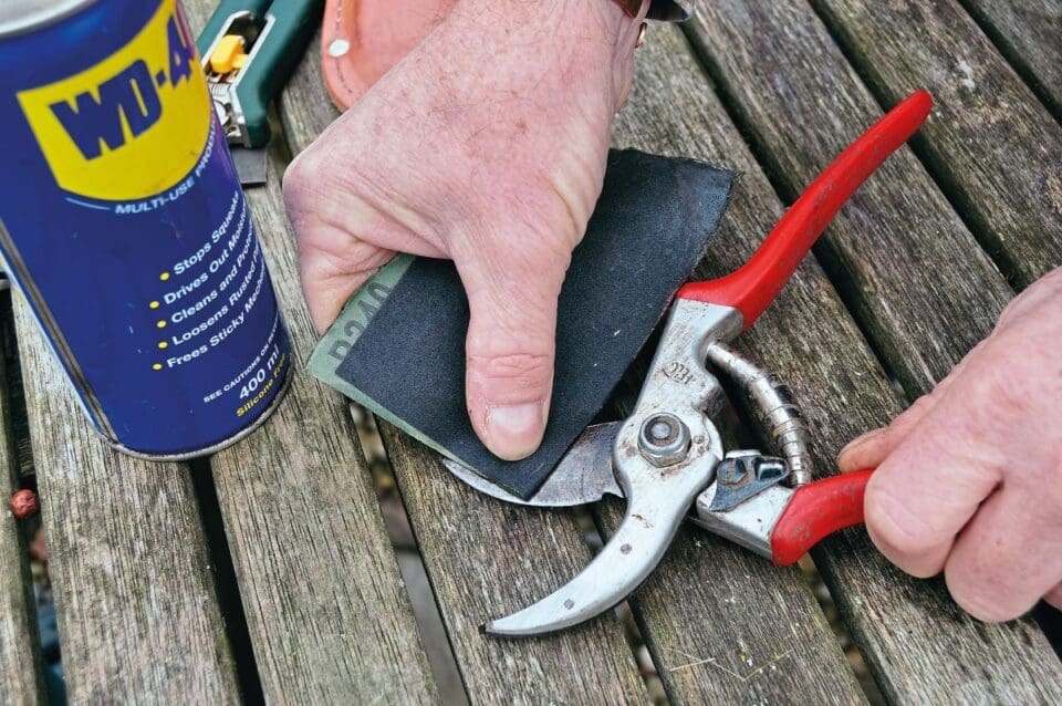 Cleaning and sharpening gardening secateurs 