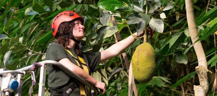 Lucie Oldale with the Jackfruit