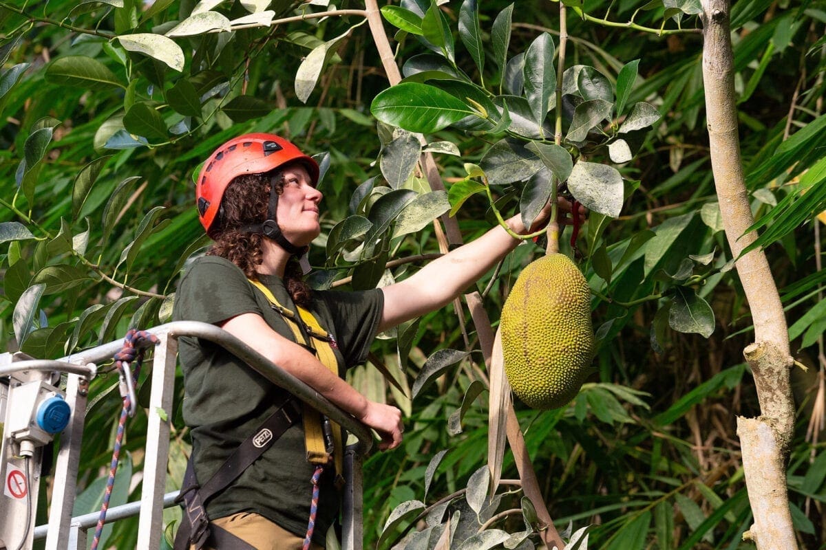Lucie Oldale with the Jackfruit