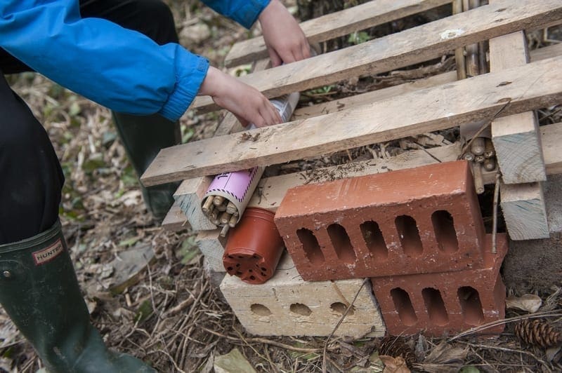 Making an insect hotel