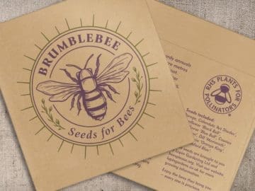 Brumblebee: a simple and stylish seed mix selected to support local bee populations
