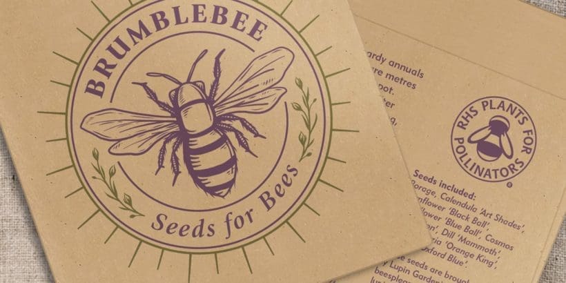 Brumblebee: a simple and stylish seed mix selected to support local bee populations