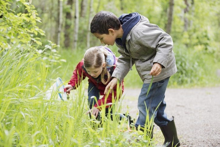 Children hunt for insects