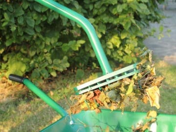 The ingenious new Leaf Picker