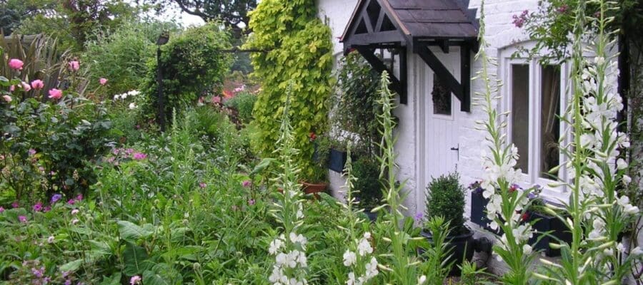 Meet the folks of The Cottage Garden Society at RHS Malvern Spring Festival