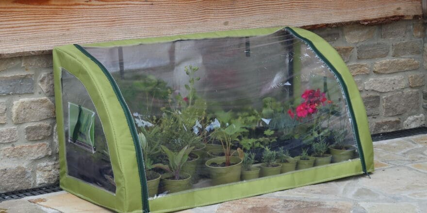 Haxnicks’ Light-Booster Coldframe