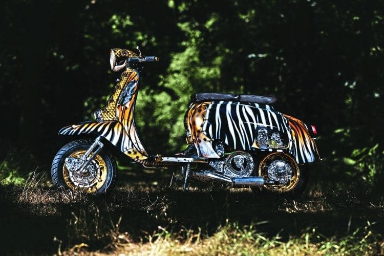 15 Wildcat Tuning ideas  wild cats, lambretta, history