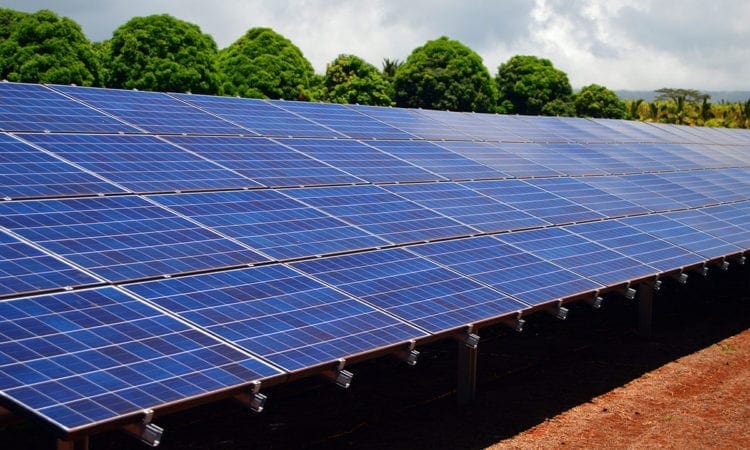 Rail line becomes world’s first to be powered by solar farm