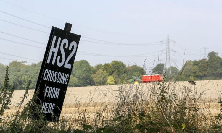 HS2’s controversial clearance of ancient woodland halted by government amid review
