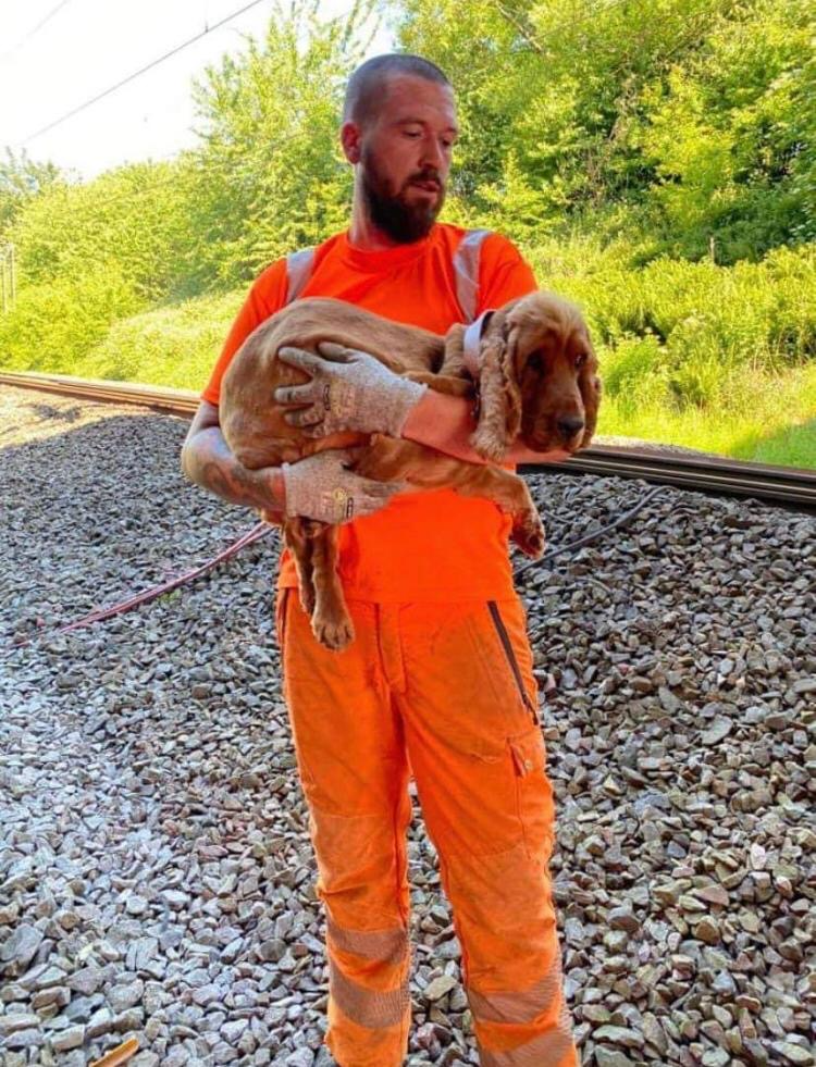 Rover in Eric Formby's arms after being rescued.