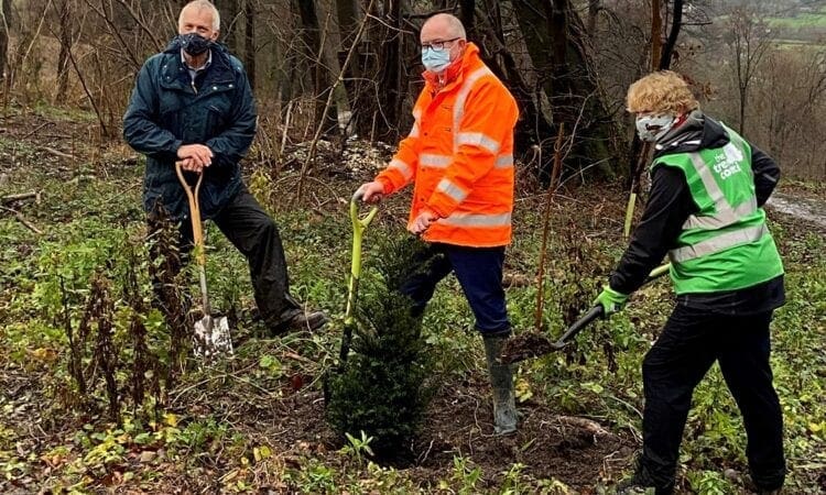 Thousands of trees planted in £1 million pledge takes root across UK