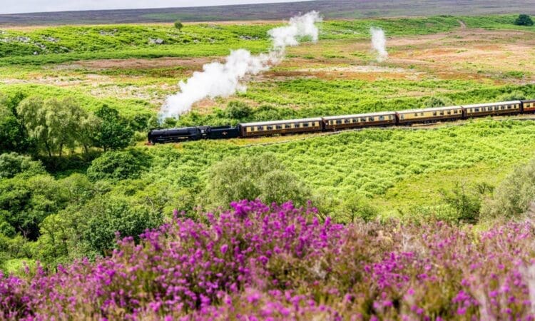 ‘Royal Scot’ to replace ‘Britannia’ for  NYMR half-term services