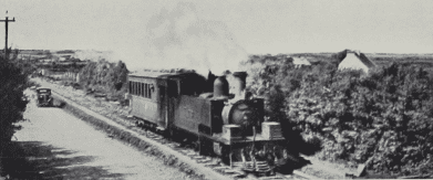 Branch train from Castlegregory approaching the junction