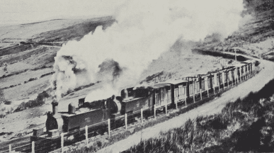 Double-headed cattle train, en route for Dingle, at the top of the pass over the Slieve Mish mountains
W. A. Camwell