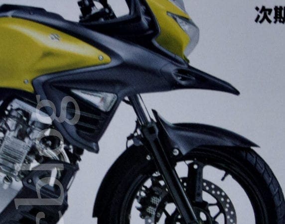 New V-Strom 250 from Suzuki pictured in Japan