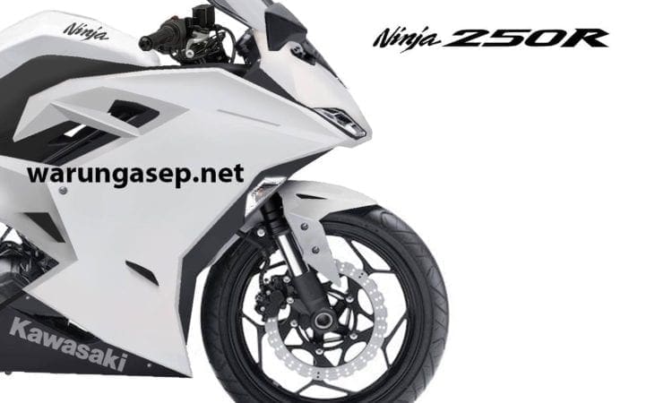 2016 Kawasaki Ninja 250R mini-superbike pictures appear