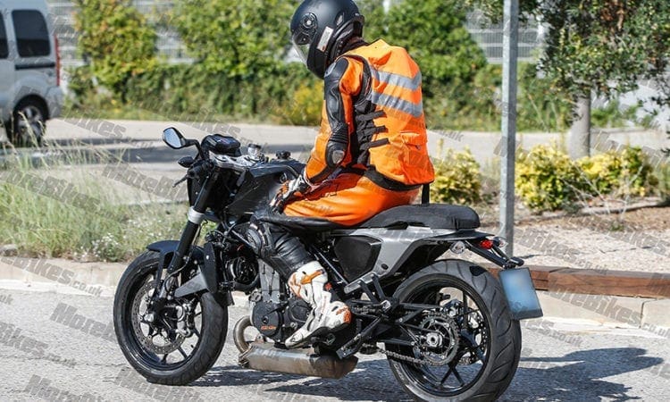 Spy shots! Husky Vitpilen cafe racer snapped out in first tests on the road!