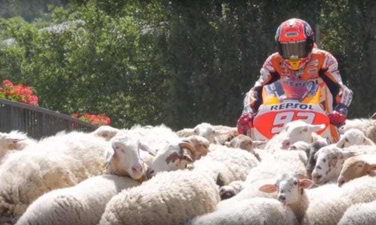 Video: MotoGP bikes, Marc Marquez and a flock of sheep… plus total trials legends and stunt planes too!