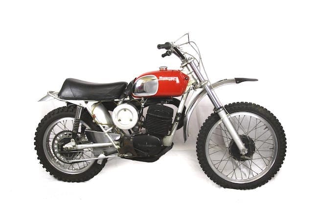 Steve McQueen Husky to go on show at Stafford