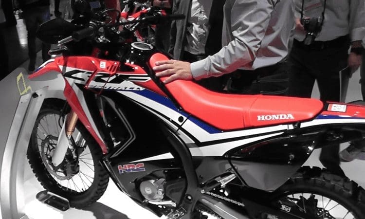 Video: Motorcycle Live! A 2017 bike to see: Honda’s CRF250 Rally