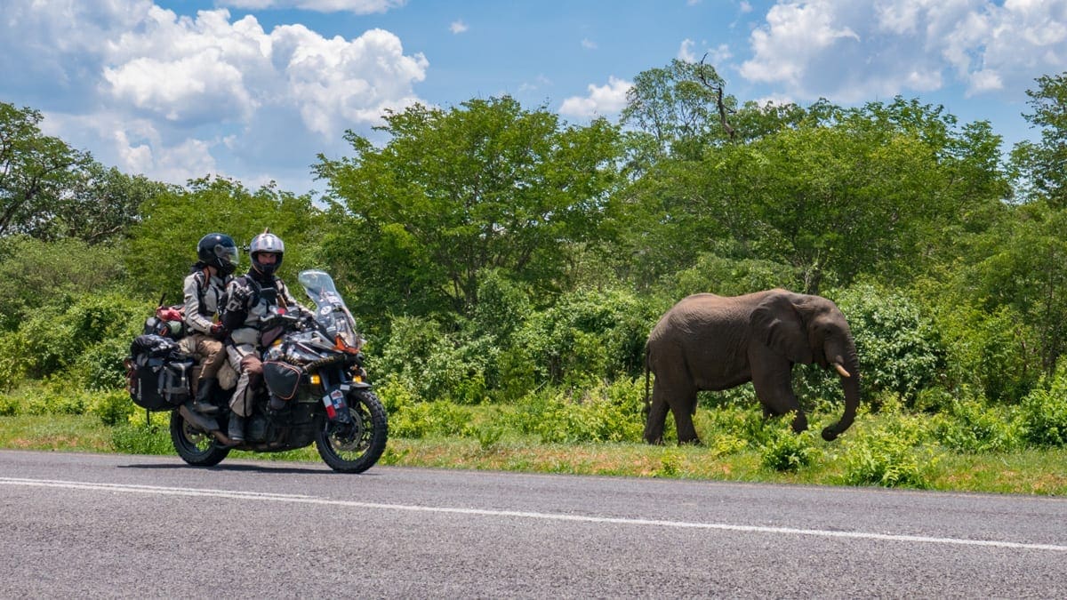 Tim and Marisa Notier ride amongst elephants