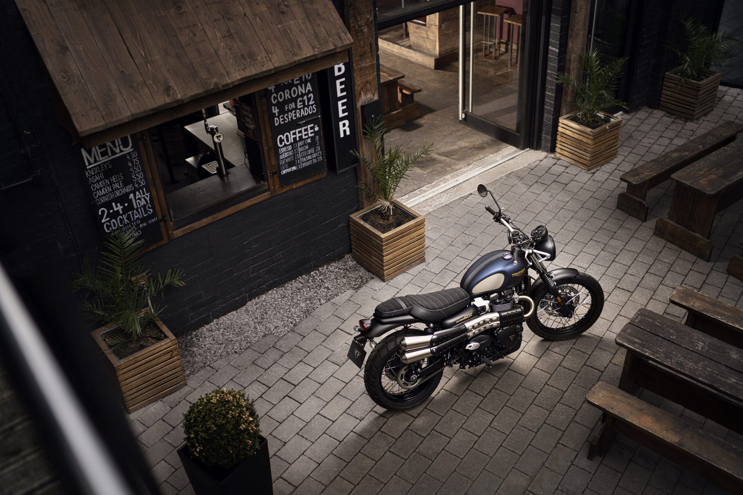 Special Edition Street Scrambler Gold Line (1)